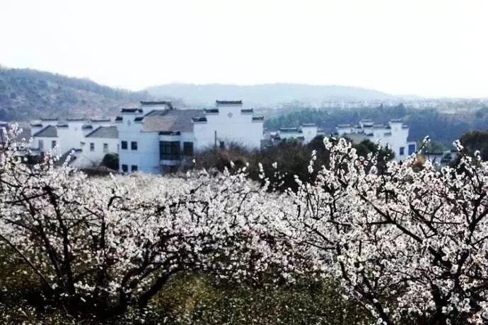 不懂就问!为什么老乡鸡明明不便宜,但总有人在排队买?