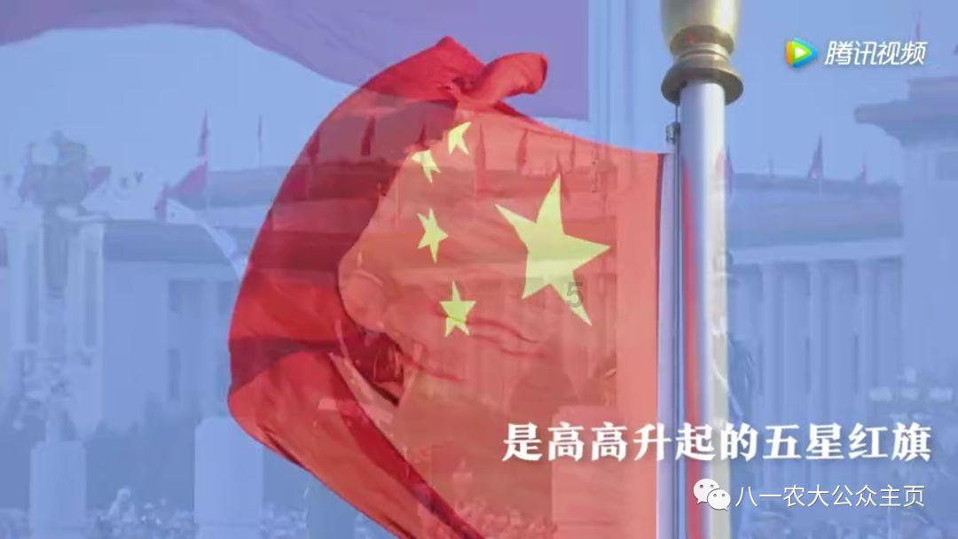 小猫钓鱼游戏龙王版有船