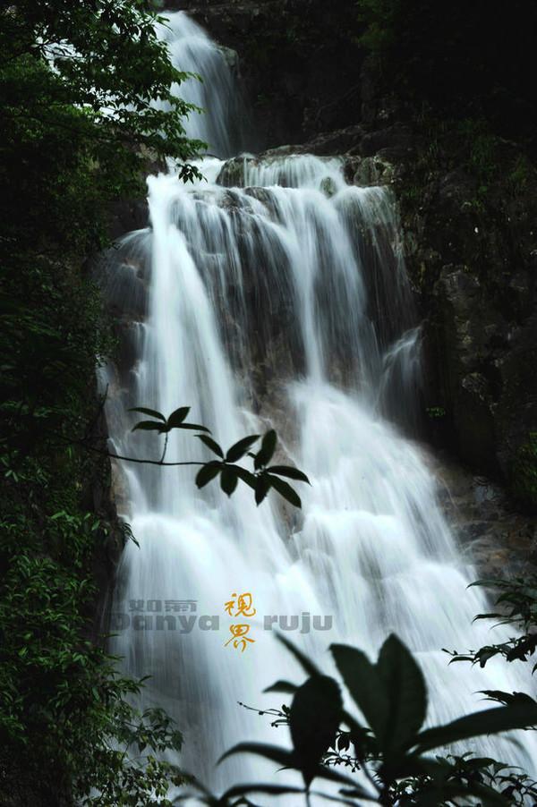 咳嗽家庭护理小知识:贴心指导助您轻松应对